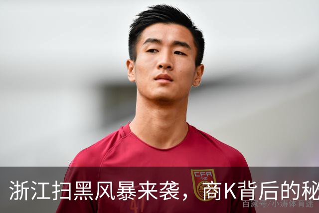 浙江扫黑风暴来袭，商K背后的秘密一网打尽！